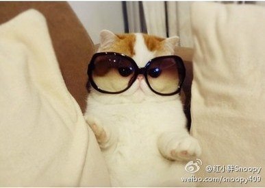 Инга Жаданова | Москва