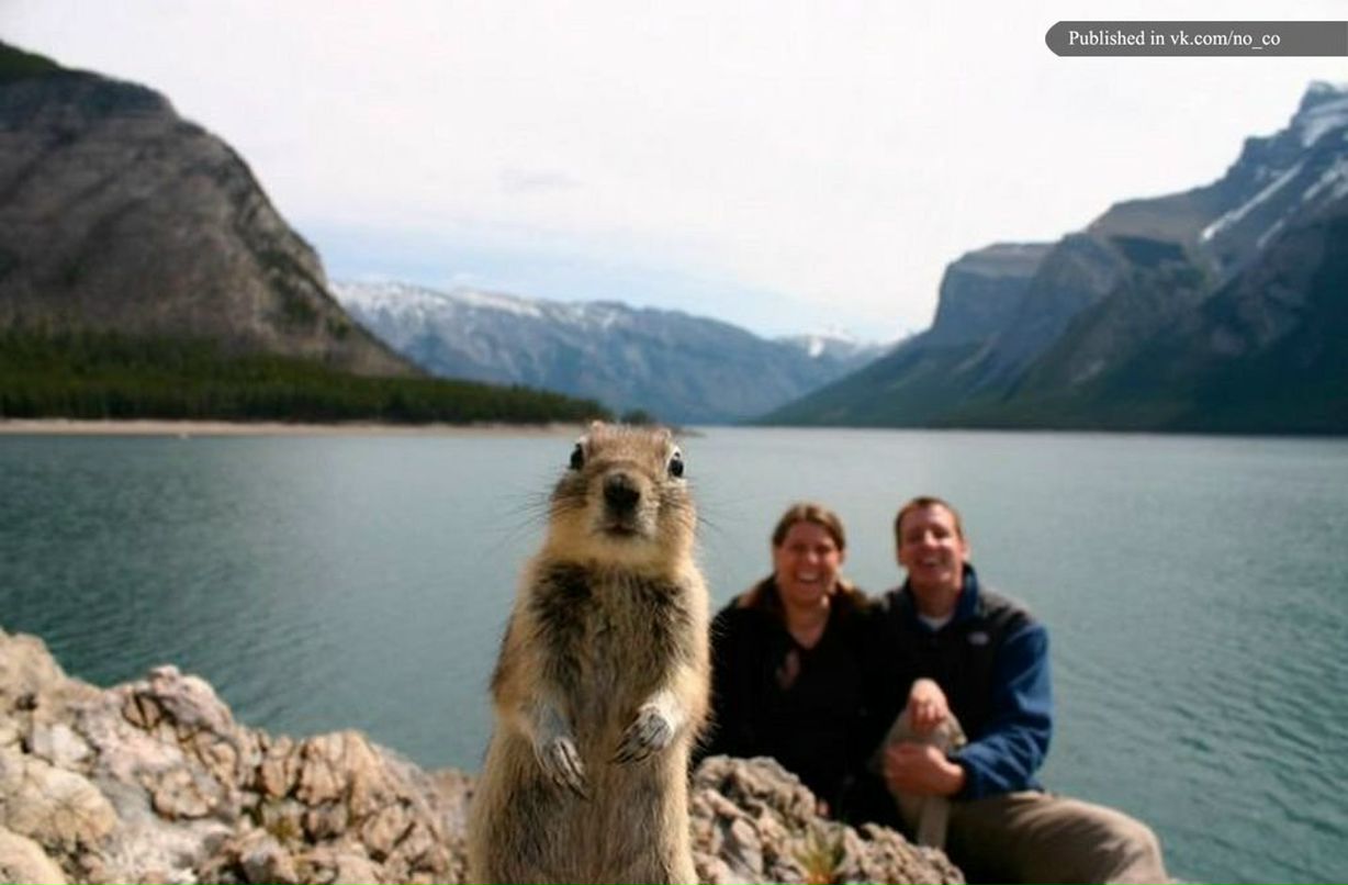 Владимир Рабцун Геннадьевич | Алматы