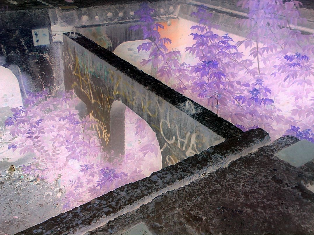 Tema Miroshnichenko | Луганск