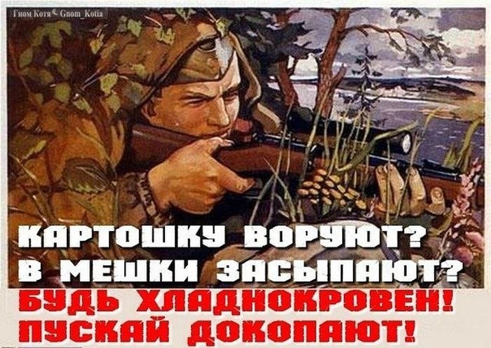 Петр Жоров | 