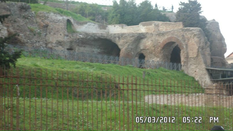 Лена Данилко | Житомир