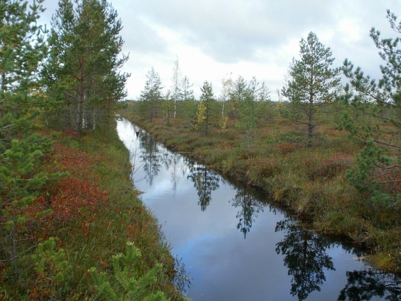 Роман Чистяков | 