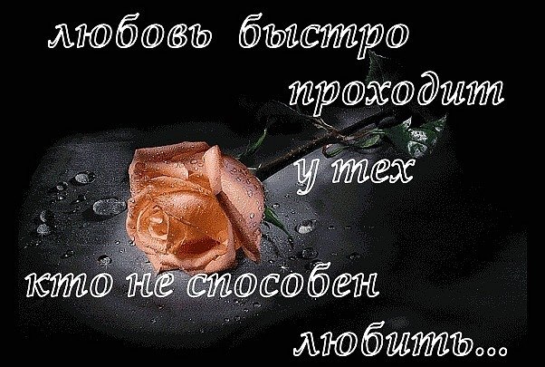 Nazi Nazi ♥dooset daram♥ | Киев