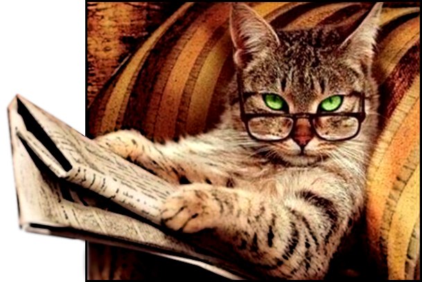 Андрюха Милехин | Оренбург