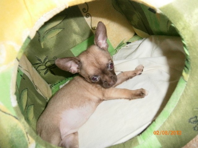 Татуля Козлова | Ивантеевка