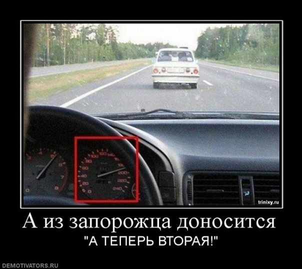 №50, Ігор Сад, Владимирец №50, Ігор Сад, Владимирец