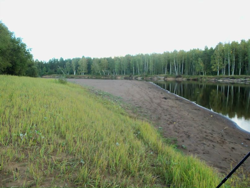 Александр Мурзин | 