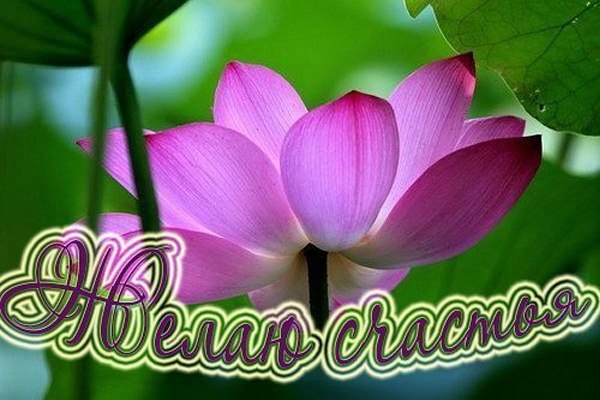 Розалия Гайнуллина | 