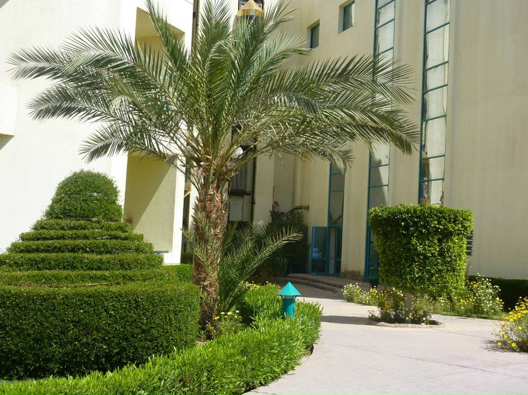 Вера Васильева | Череповец