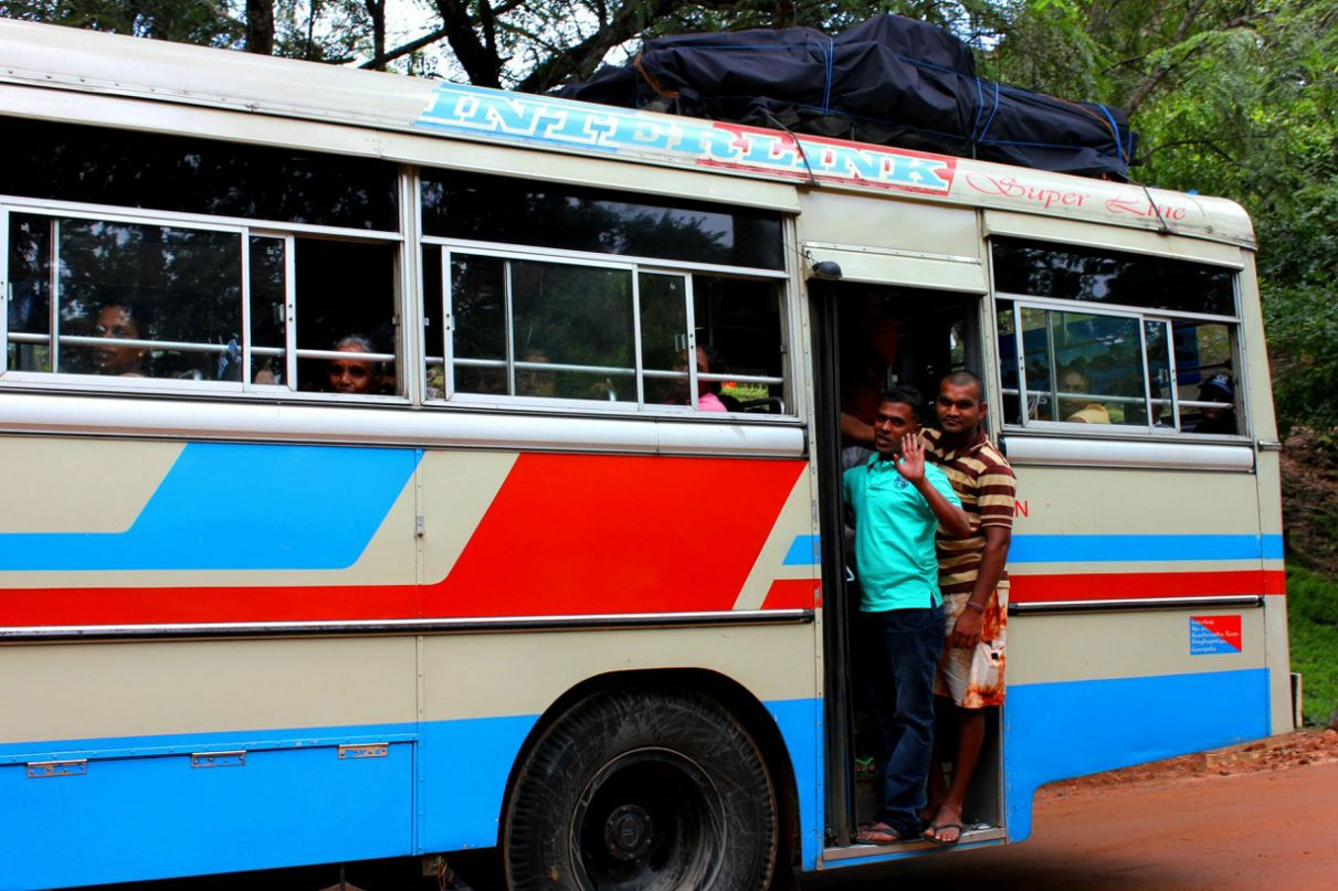 Елена Платонова | 