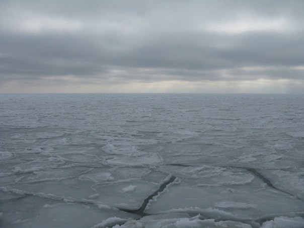 Олег Везне | Одесса