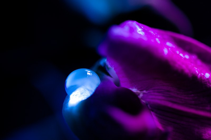 Аня Полякова | Волгоград