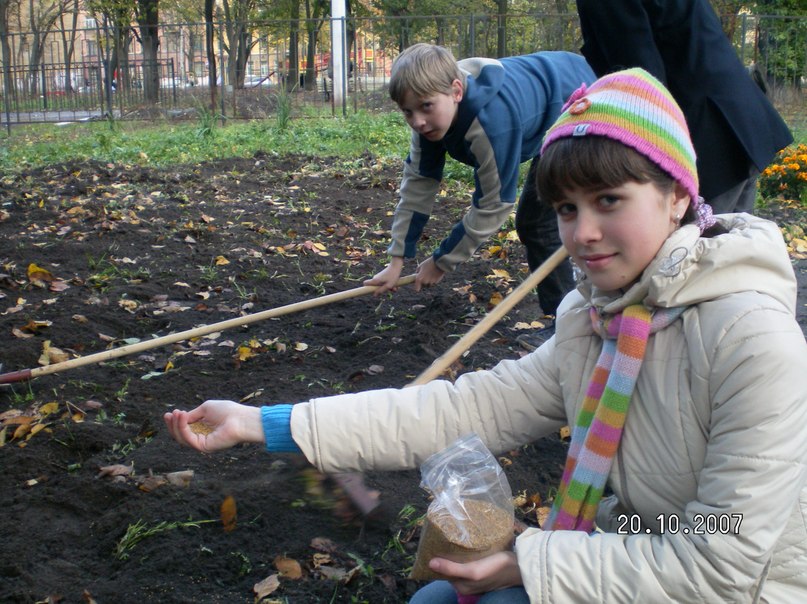 Ксения Дашевская | Санкт-Петербург