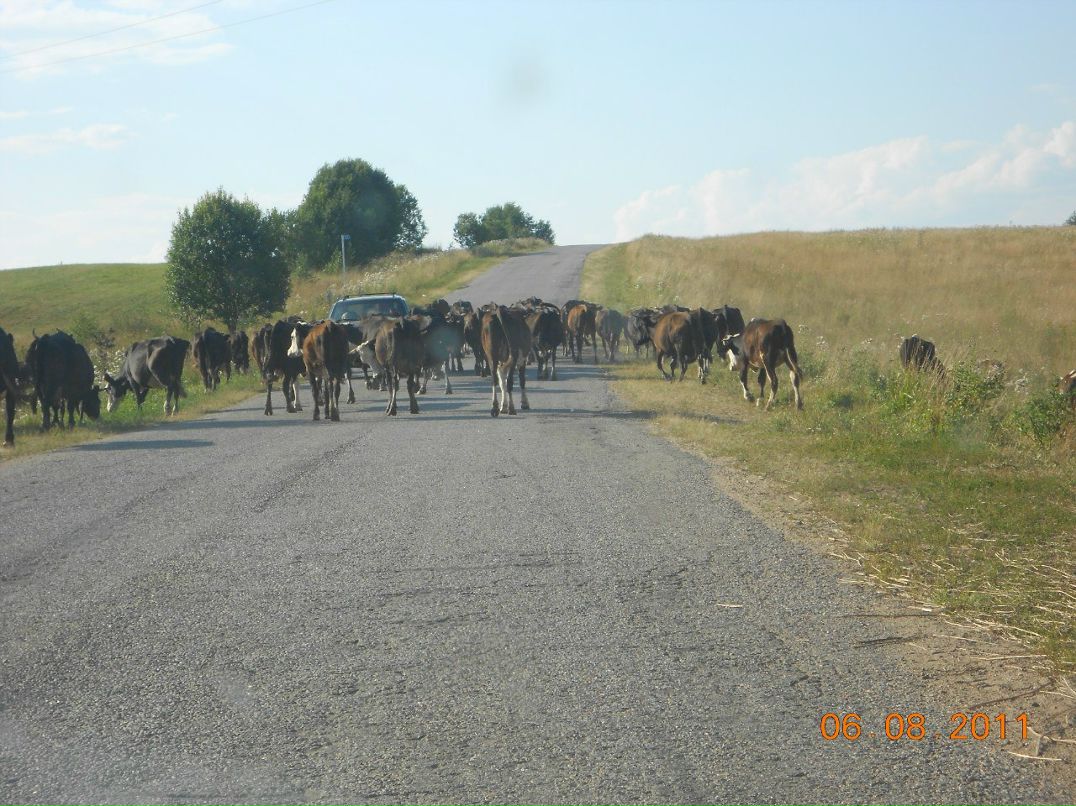 Дмитрий Хапугин | Санкт-Петербург