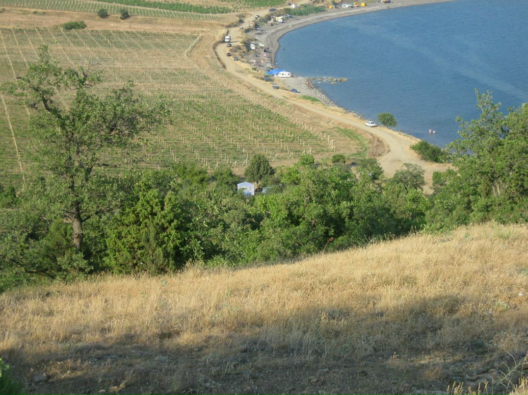 Аля Крамчанинова | 