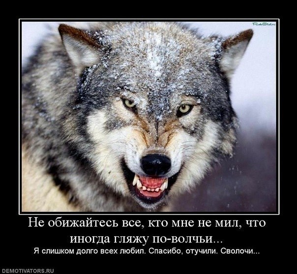 №19, Алексей Янжула, 33 года, Покровск / Красноармейск №19, Алексей Янжула, 33 года, Покровск / Красноармейск