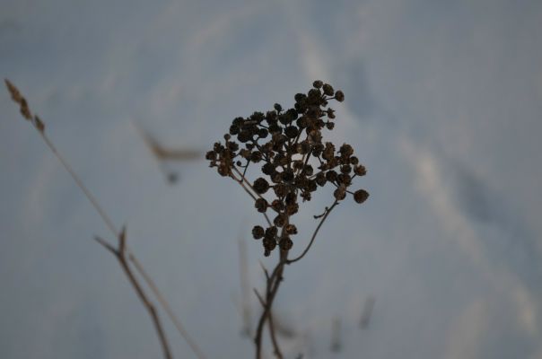 №136, Мария Малаева, 28 лет, Москва №136, Мария Малаева, 28 лет, Москва