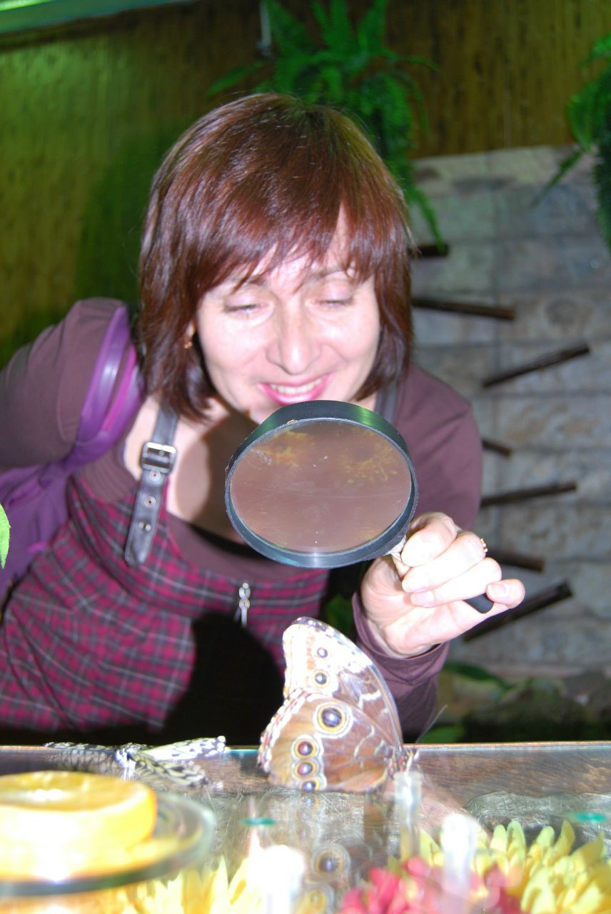 Елена Лучкова | Новосибирск