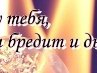 Денис Василевский | Новоград-Волынский