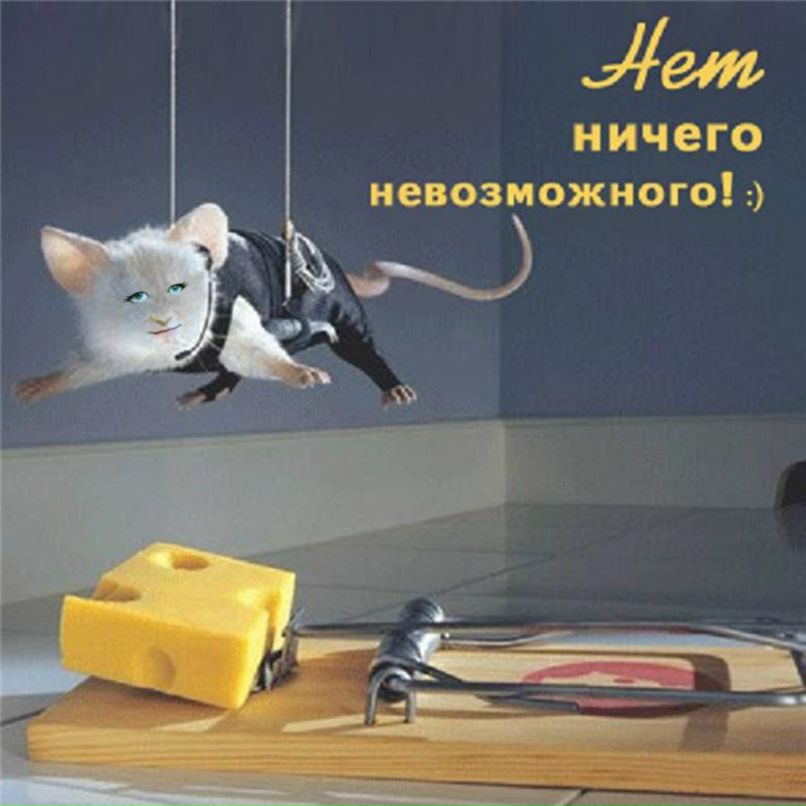 Настенька Попова | 