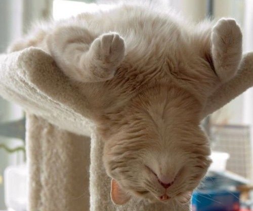 Оксана Ромах | Новосибирск