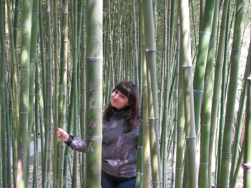 Татьяна Чакир | Днепр (Днепропетровск)