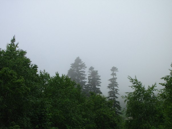 №55, Николай Холмовой, Краснодар, Россия №55, Николай Холмовой, Краснодар, Россия