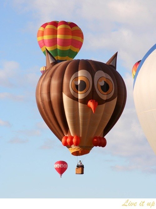 Jikatezukikuru Kashichidoshi | Москва