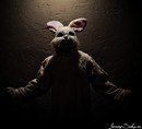 Фотография Попова Ольга