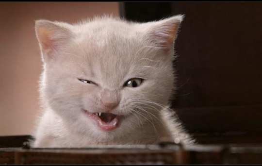 Слава Асяев BaLaLai | Витебск