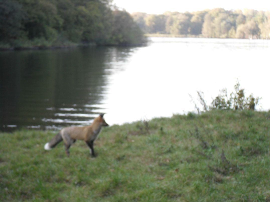 Keiler Mihail | Ташкент