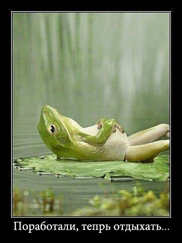 Максим Лизунов | 