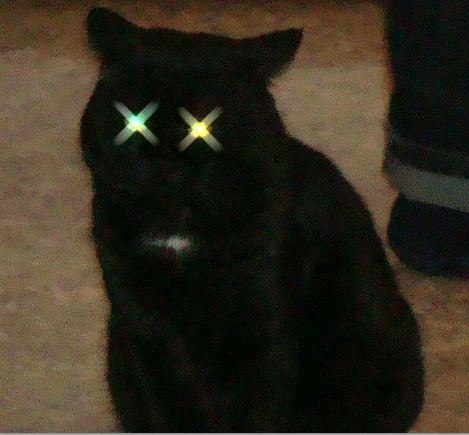 Булат Булатов | Альметьевск