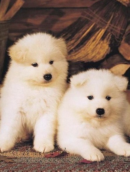 Настя Івахів | Винники