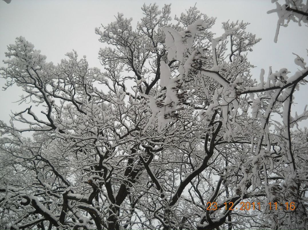 Юрий Бурыкин | Брянск