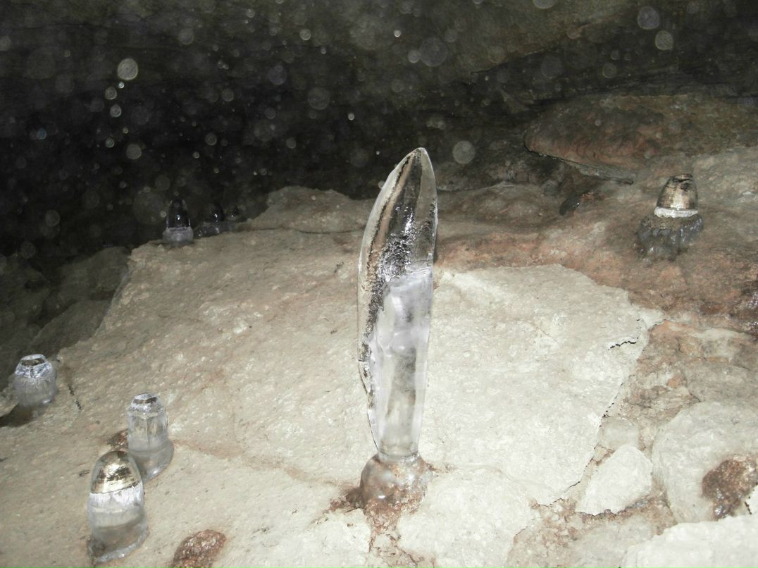 Дмитрий Пыхтин | Барнаул