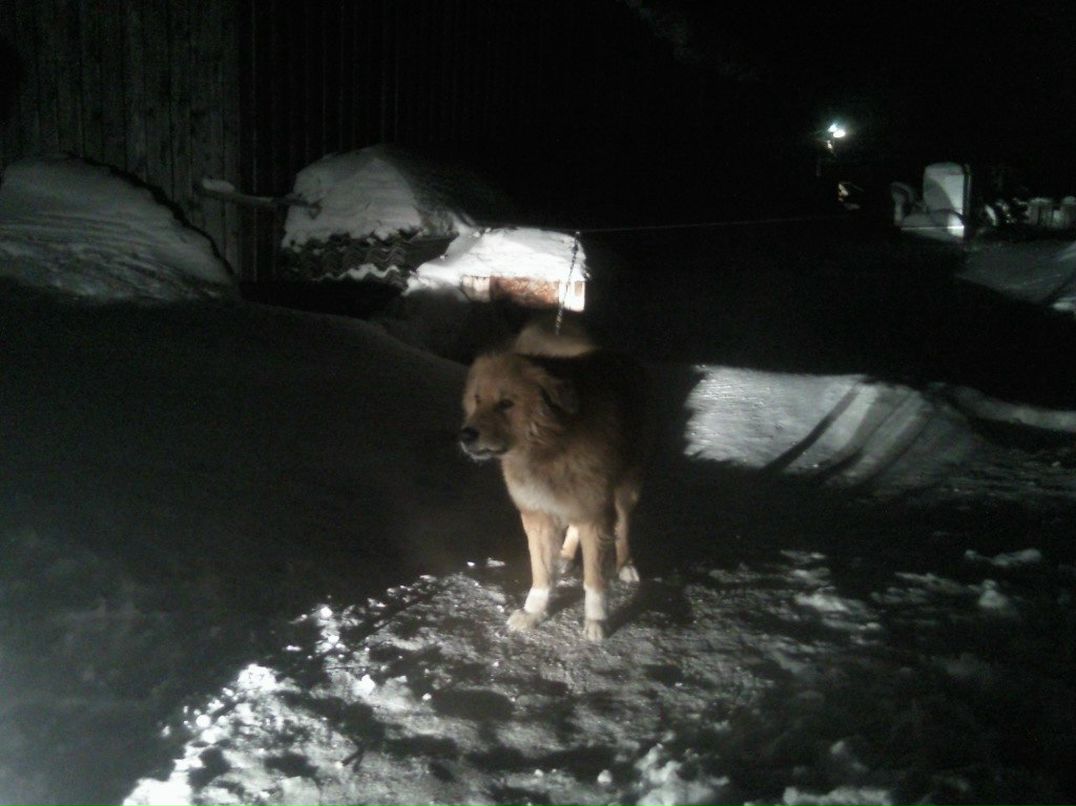 Сергей Шевнин | 