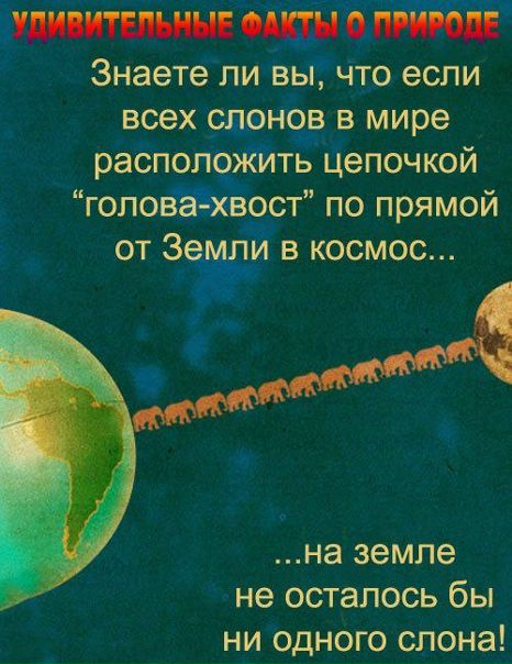 №22, Илья Иванов, Иркутск №22, Илья Иванов, Иркутск