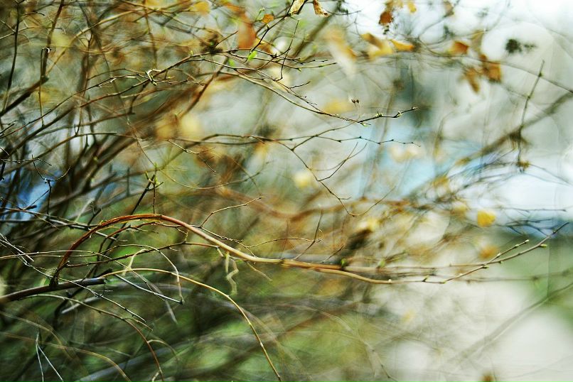 Аня Васильева | Балаково