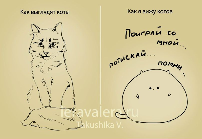 Александра Смирнова | Донецк