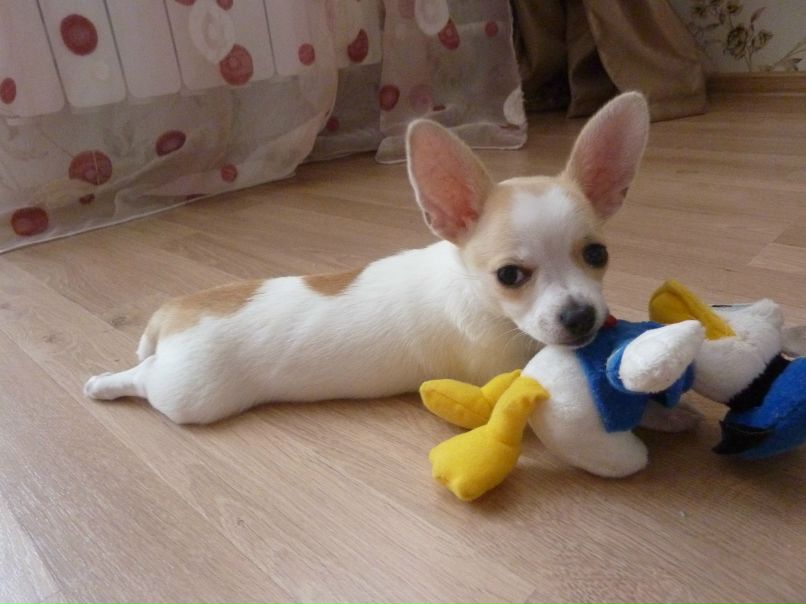 Жанна Евдокимова | Санкт-Петербург