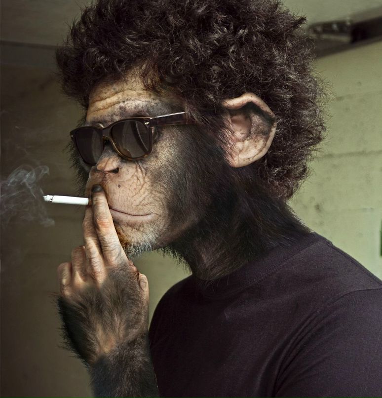 Владимир Чистяков | Великий Новгород