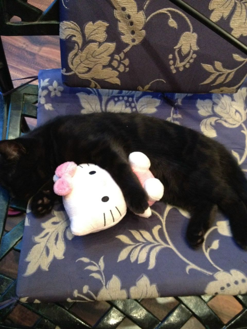 Мария Баклицкая | Киев