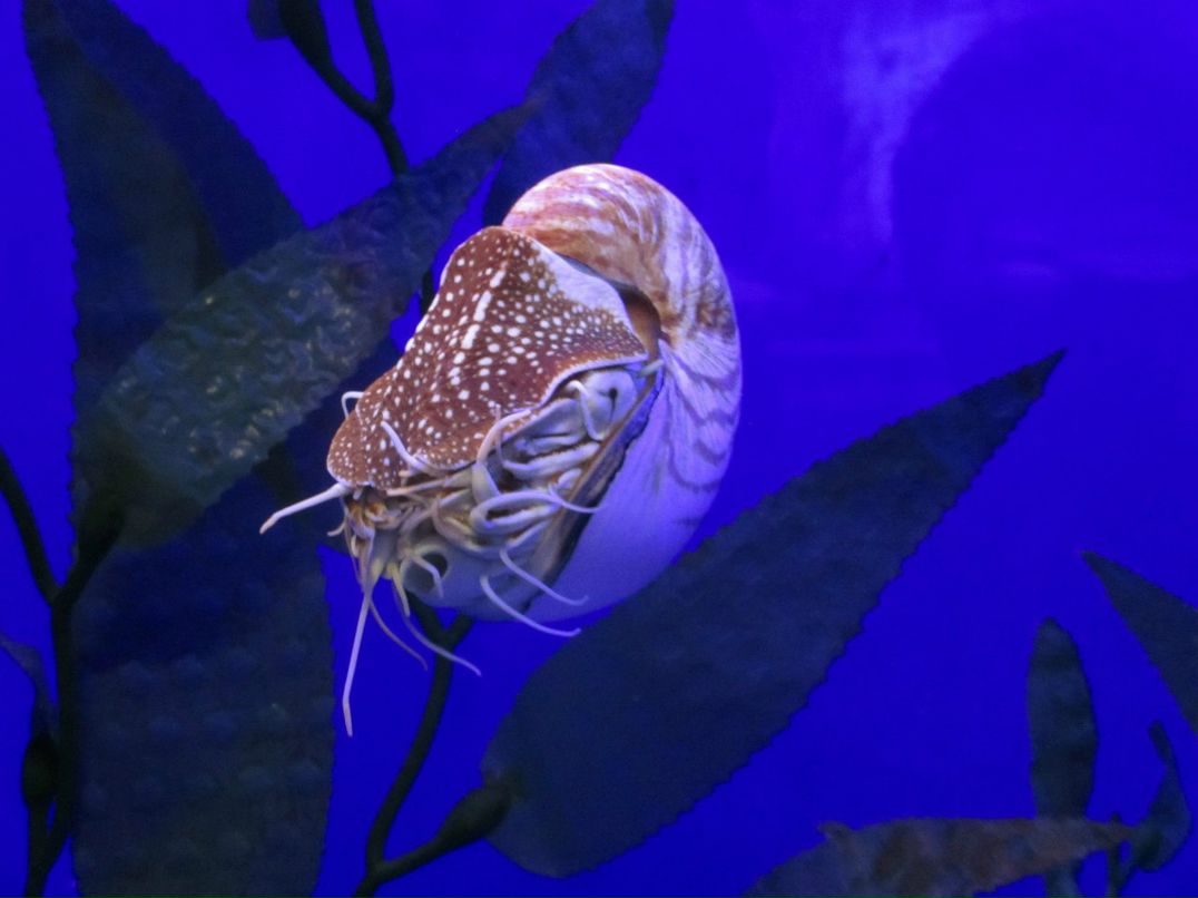 Наталья Зайцева | Новосибирск