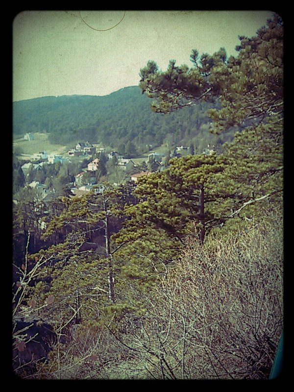 Лена Gross | Москва