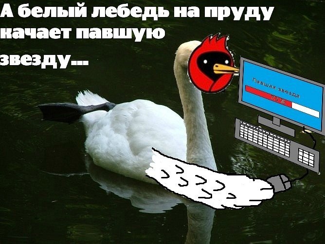 Марк Швайкин | Москва