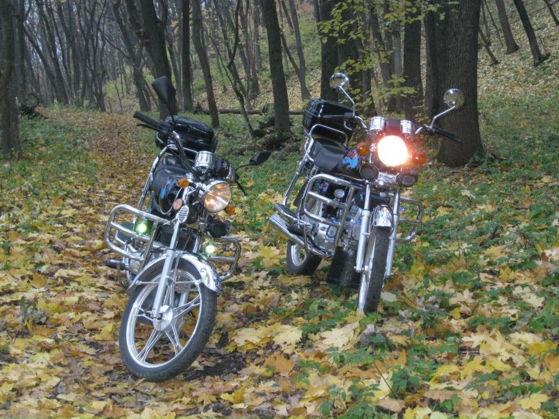 Леша Максимовский | Харьков