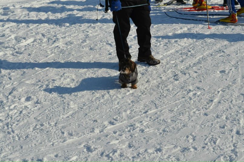 Juli Ivanova | Москва