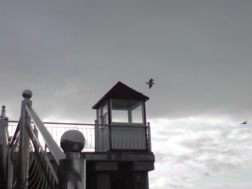 Светлана Шитикова-Гуськова | Калининград