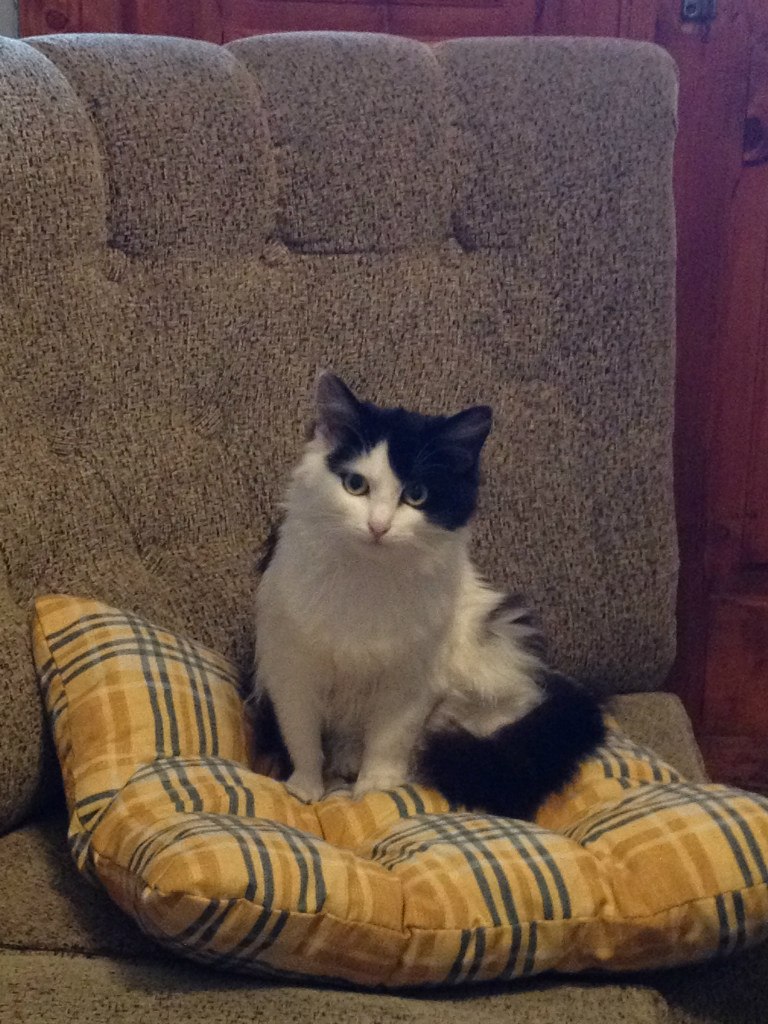 Стас Лопатинский | Иерусалим